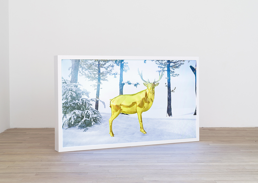 Contemporary video art at bitforms gallery in New York