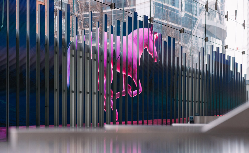 An animated image from Unicorn in the Garden, featuring a unicorn in a garden with a mystical, otherworldly quality and vibrant colors.